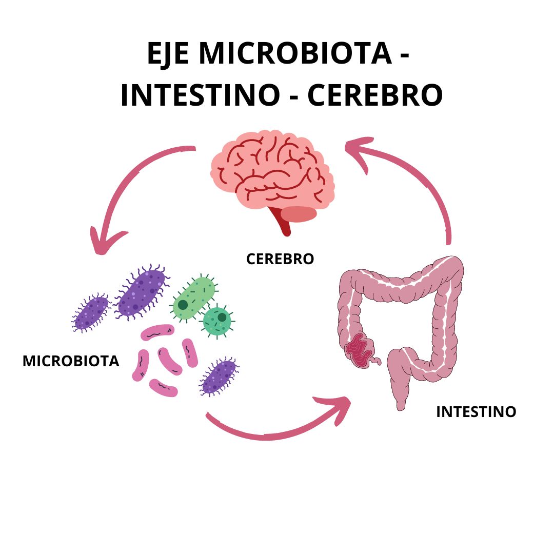 El impacto de la microbiota intestinal en nuestra salud