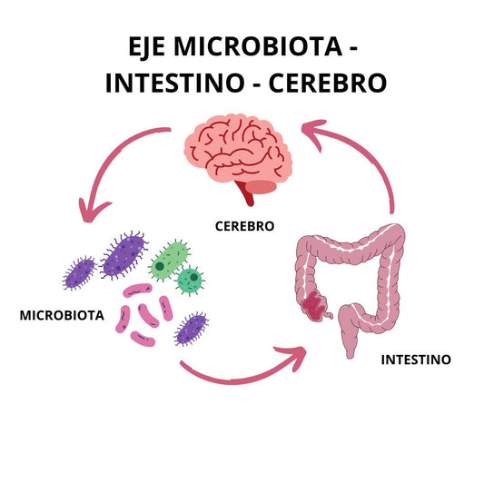 El impacto de la microbiota intestinal en nuestra salud